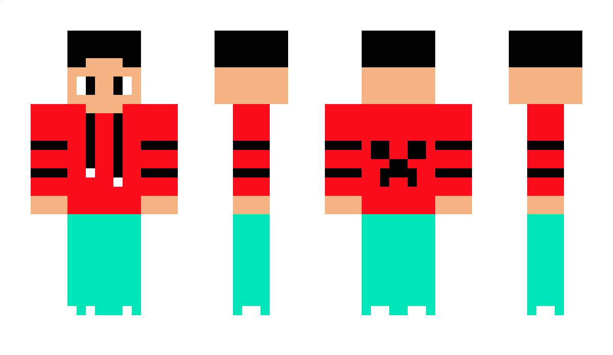 Dipsan_Playz Minecraft Skin