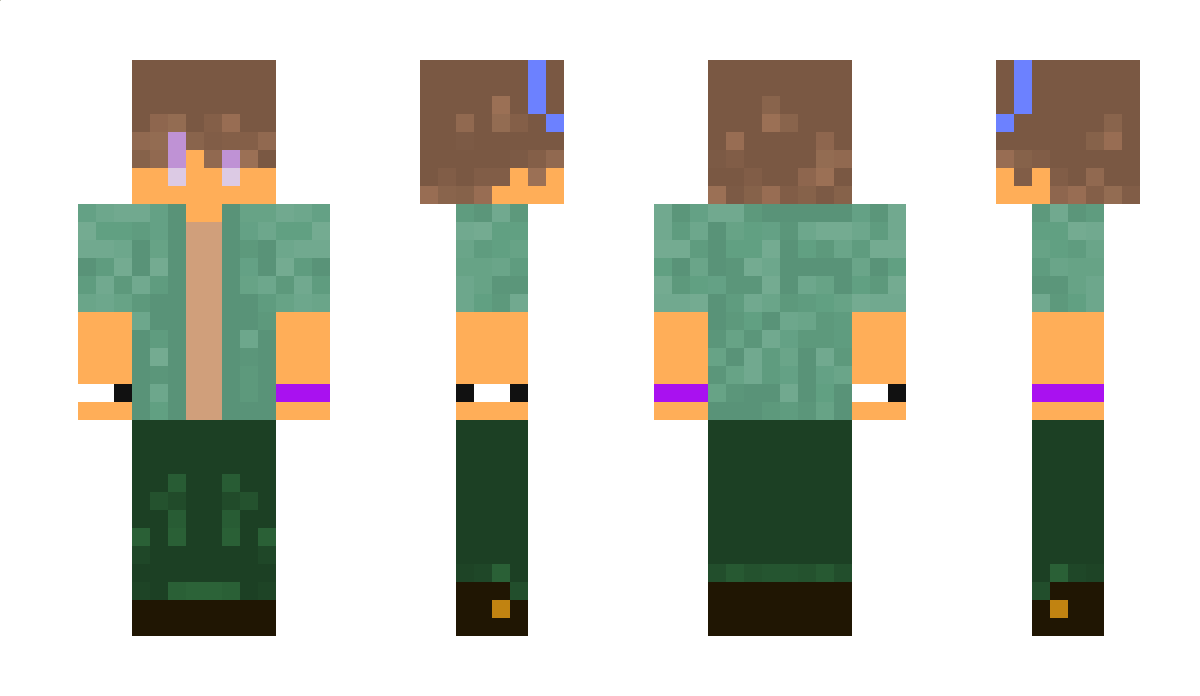 1_SJ_1 Minecraft Skin