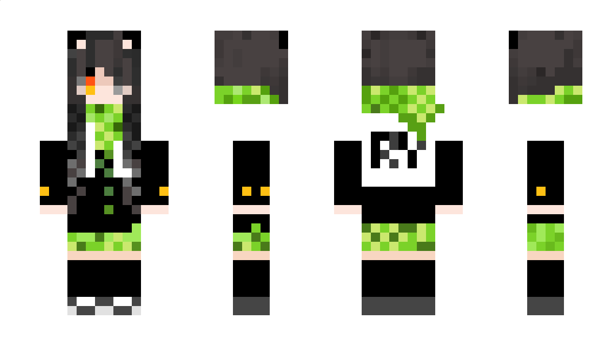 Vioarry Minecraft Skin