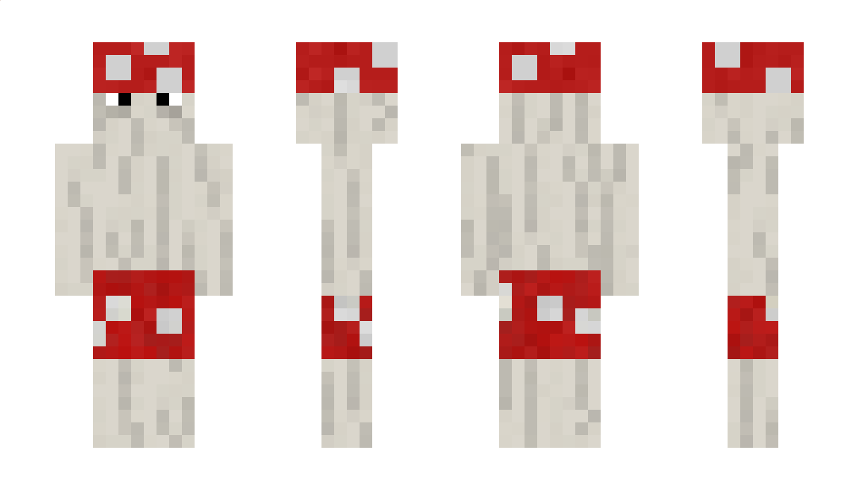 ZZaRReFF Minecraft Skin