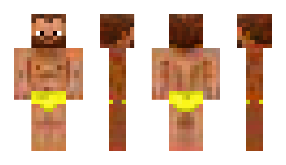 Poils Minecraft Skin