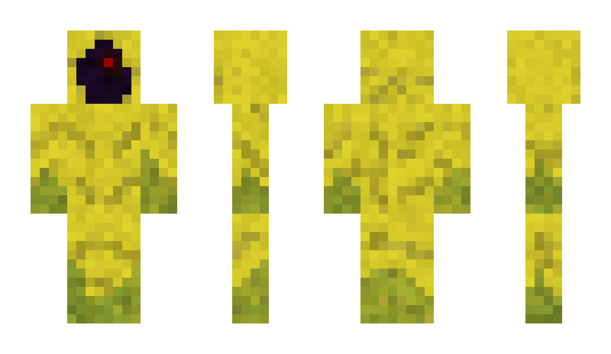 Hoijomte Minecraft Skin