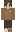 ZR02P Minecraft Skin