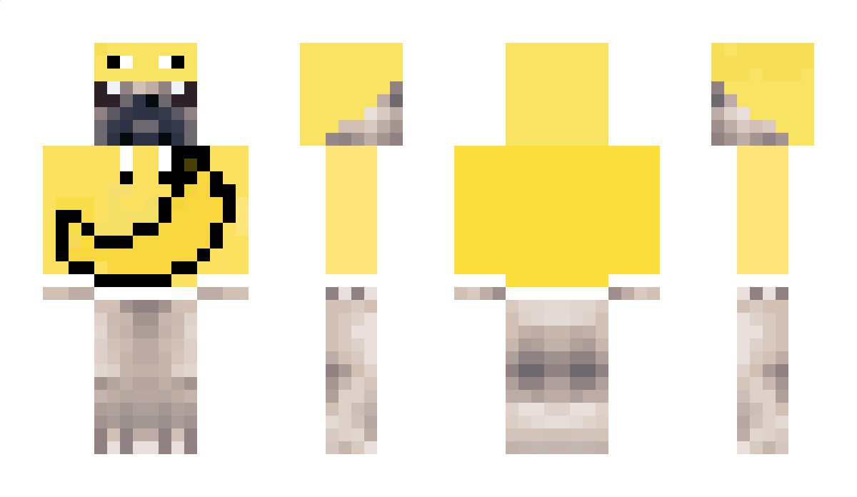 Puggero Minecraft Skin