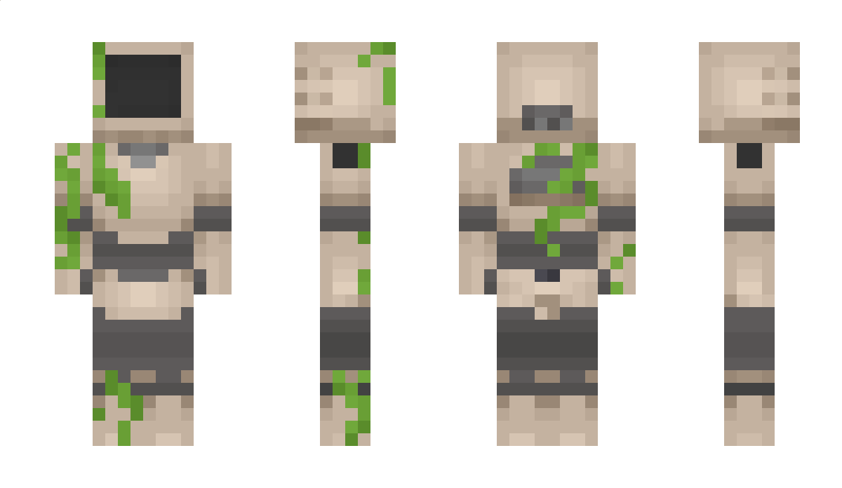 Vek Minecraft Skin