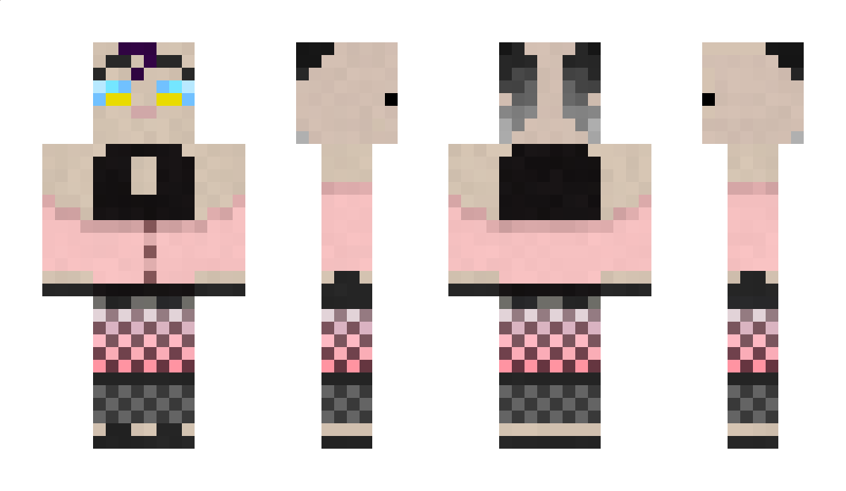 TheGoose210 Minecraft Skin