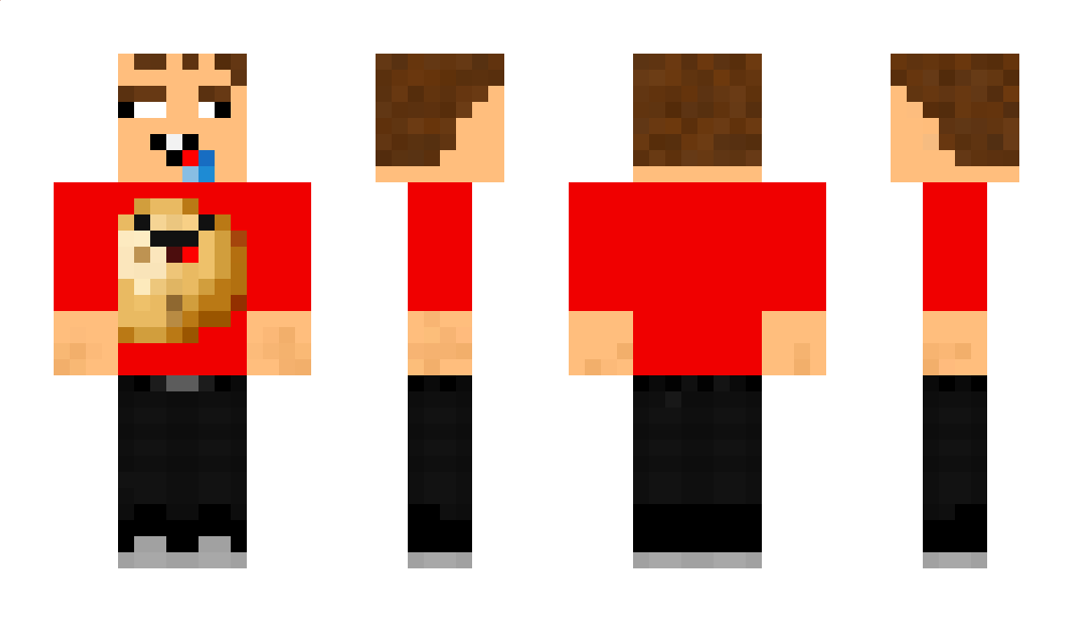 swytch1 Minecraft Skin