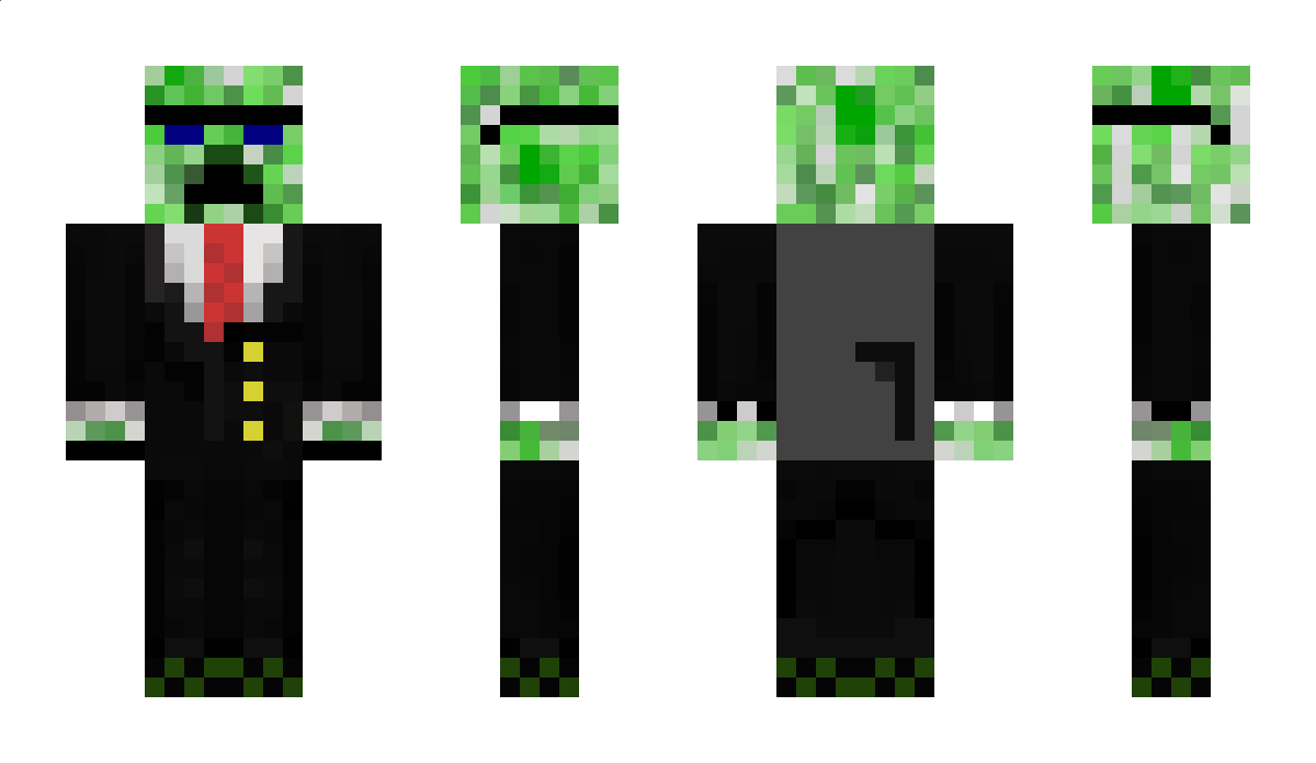 turtledude8 Minecraft Skin