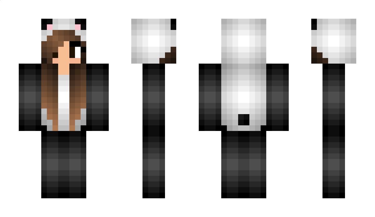 panda1234 Minecraft Skin