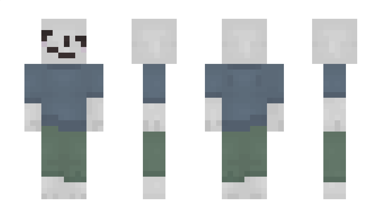 pallunoon Minecraft Skin