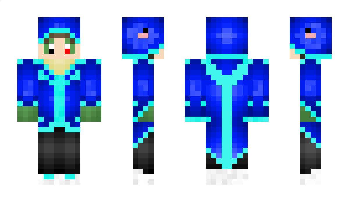 Warloise Minecraft Skin