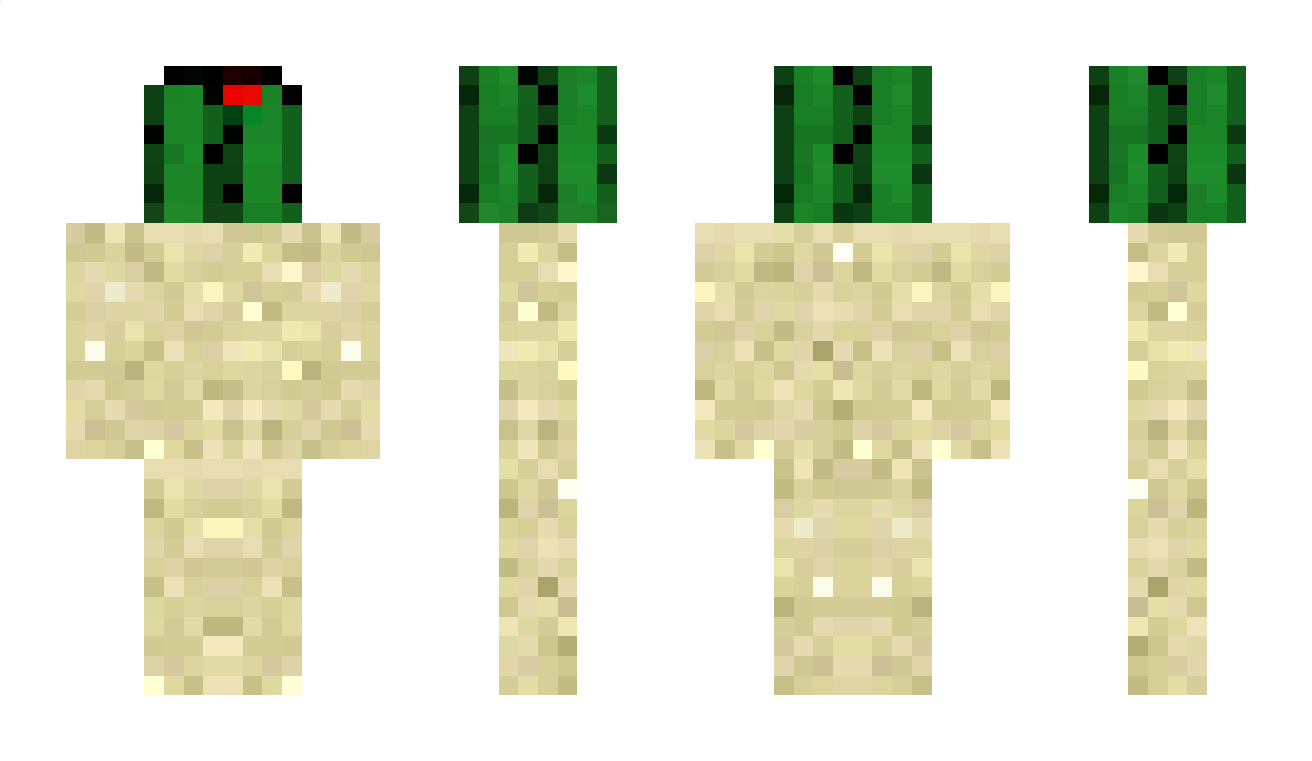 DesertCactus0_0 Minecraft Skin