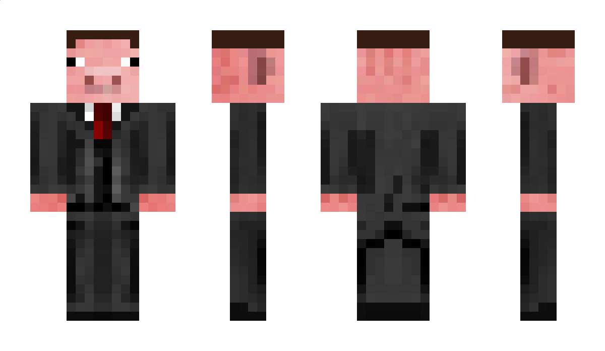 TomZT2220 Minecraft Skin