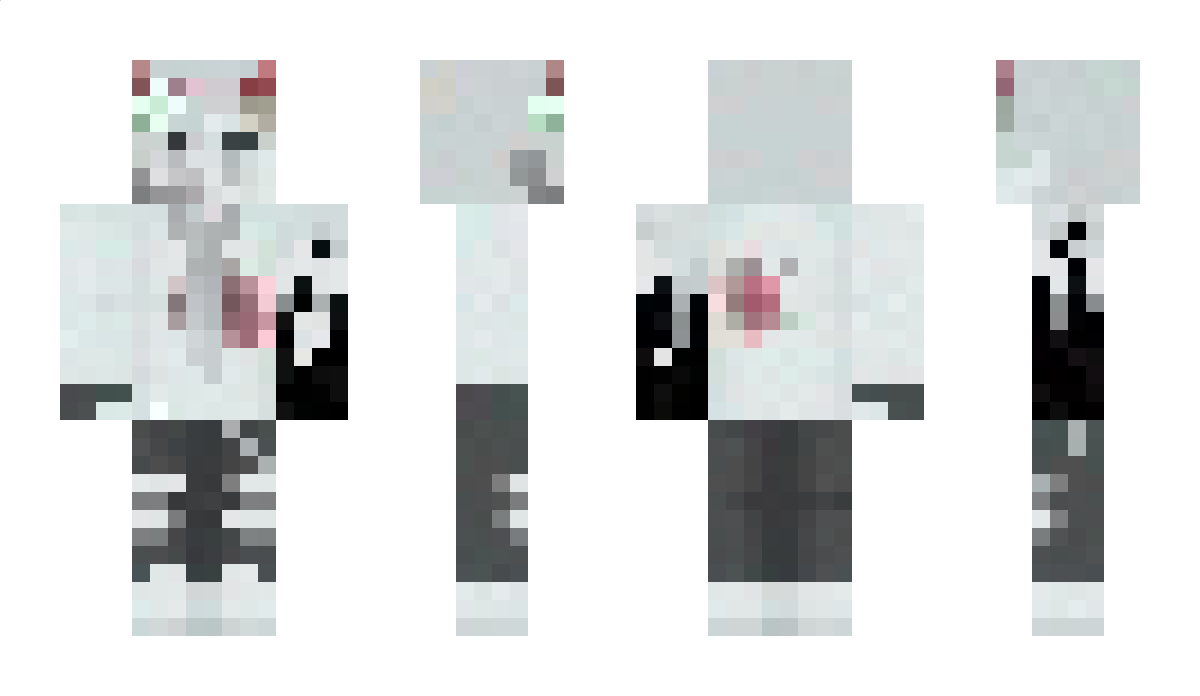 SlimeNight Minecraft Skin