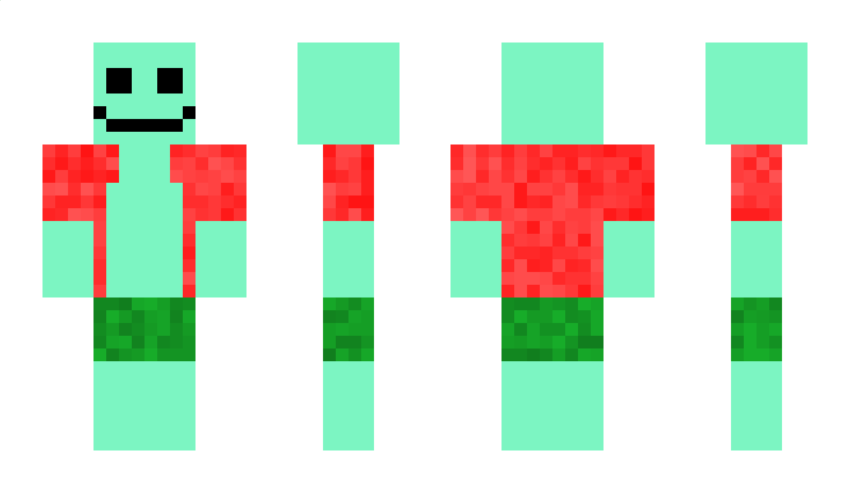 _mokki072_ Minecraft Skin