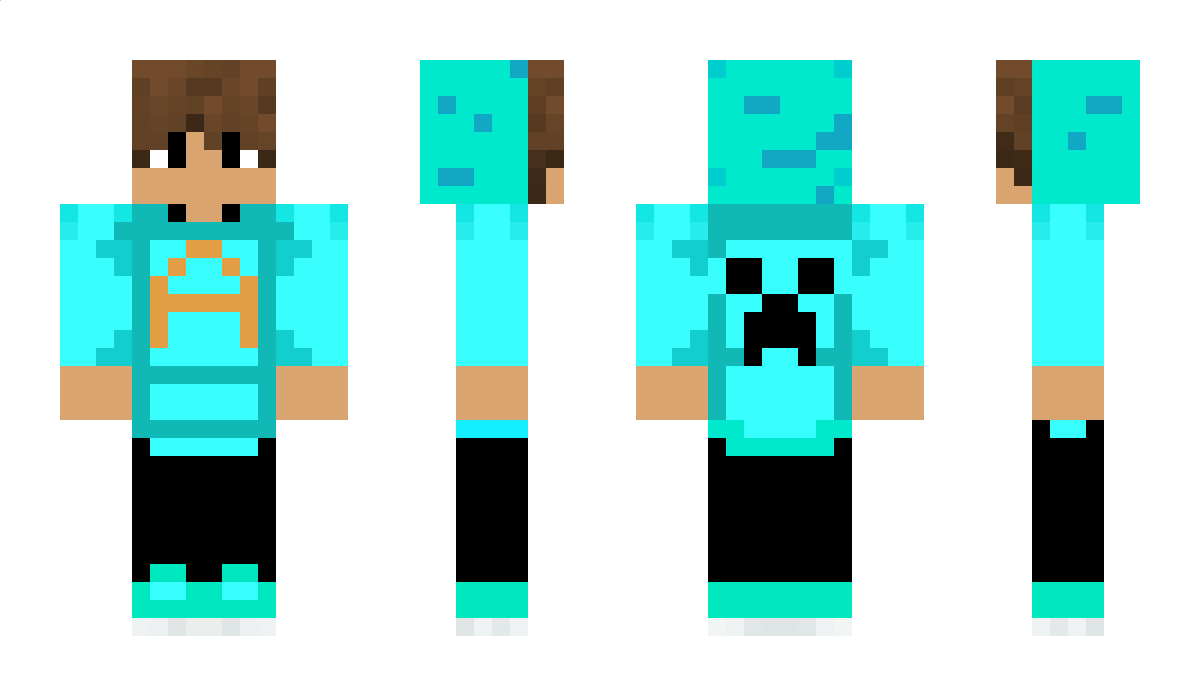 NotAarav_ Minecraft Skin