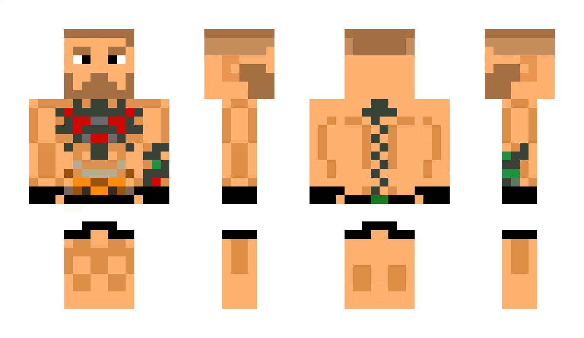 _ZyXEL Minecraft Skin