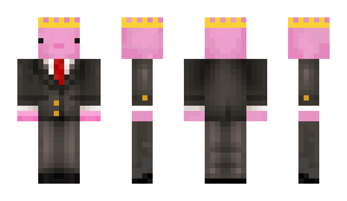 Fjcoolcat Minecraft Skin