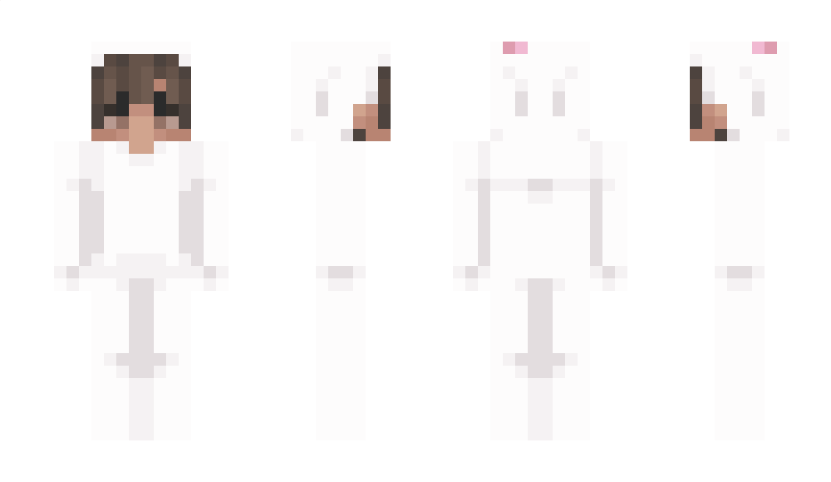 0877 Minecraft Skin