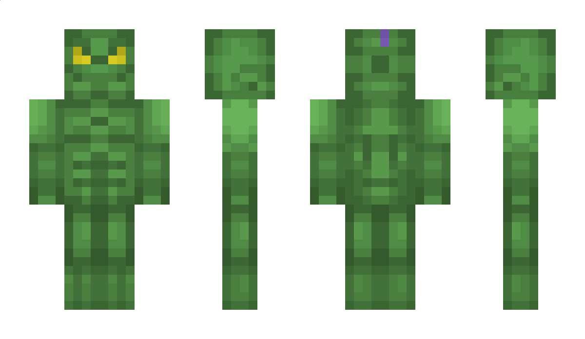 snowhunter Minecraft Skin