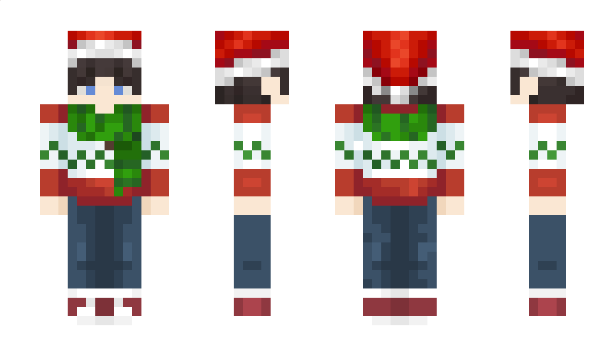 miheedzikpl Minecraft Skin