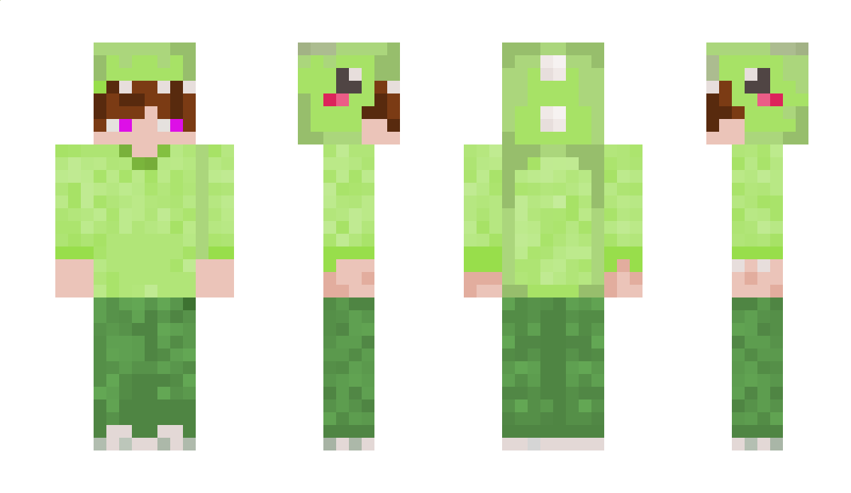 Leni2910 Minecraft Skin