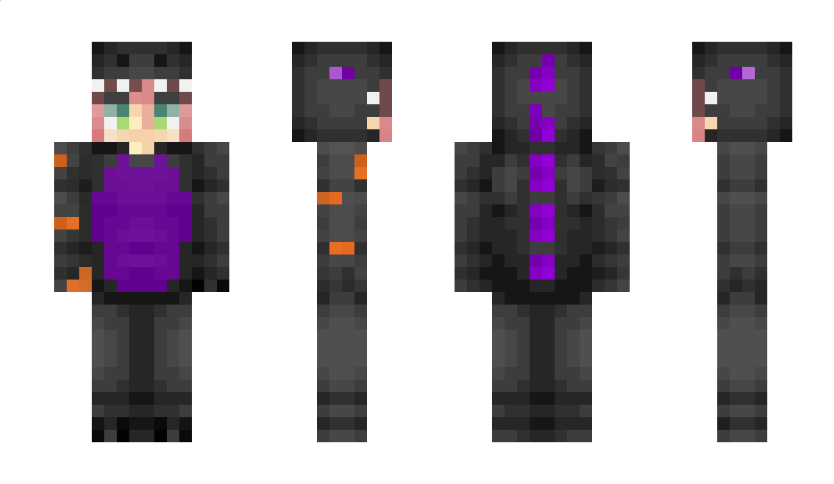 Profess1onal Minecraft Skin