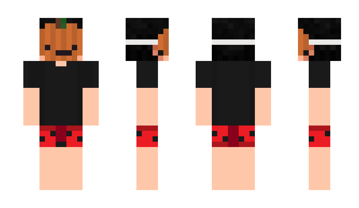 MoguinFanBoy Minecraft Skin