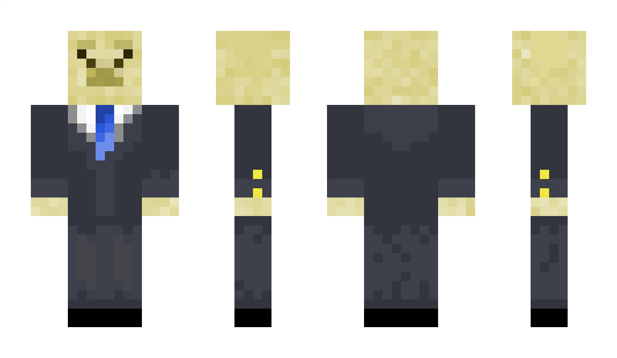 Mrllama16862 Minecraft Skin