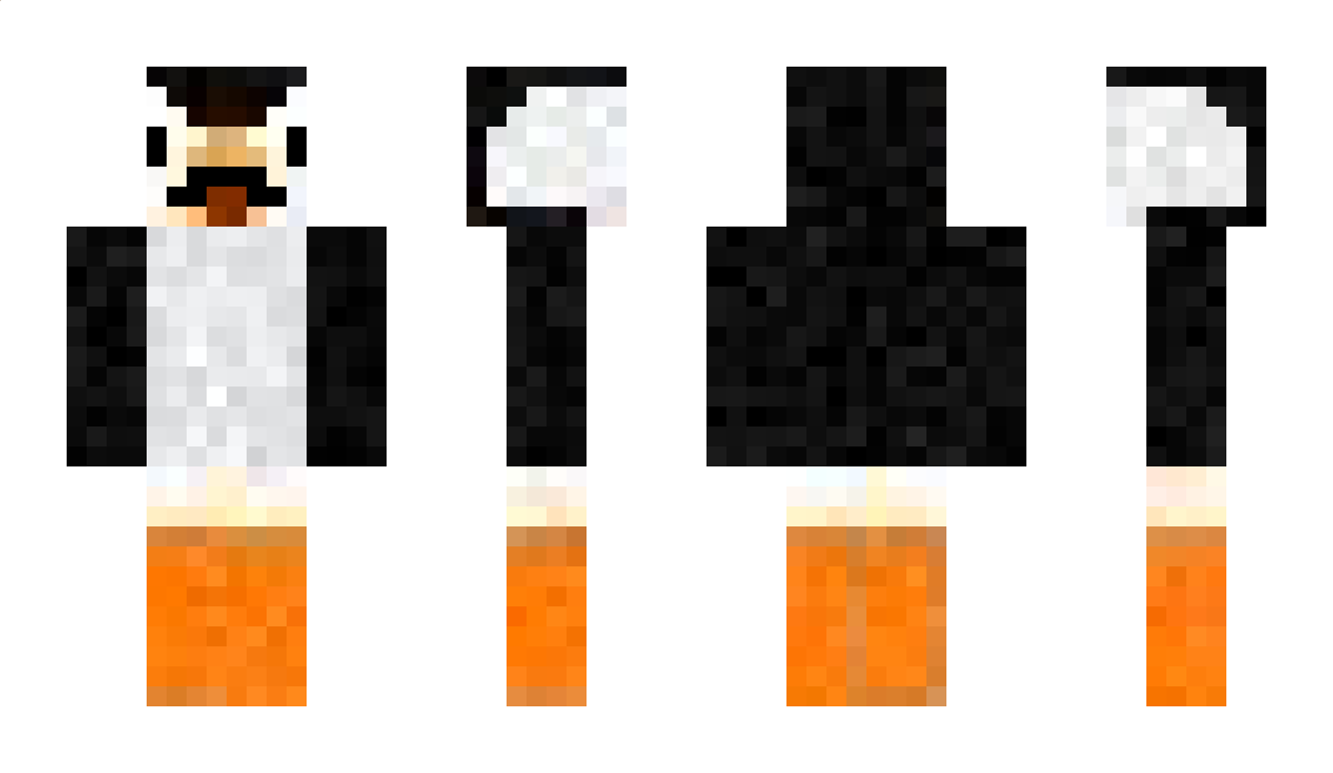 puffinet Minecraft Skin