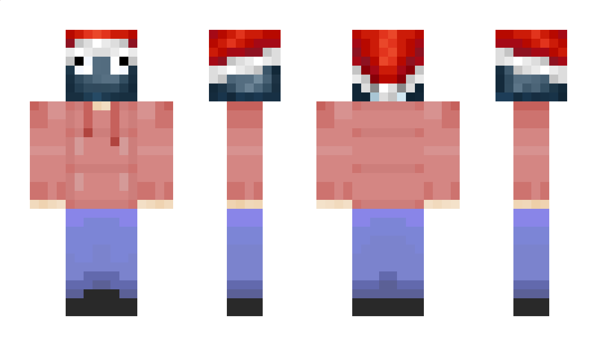 N1z_ Minecraft Skin