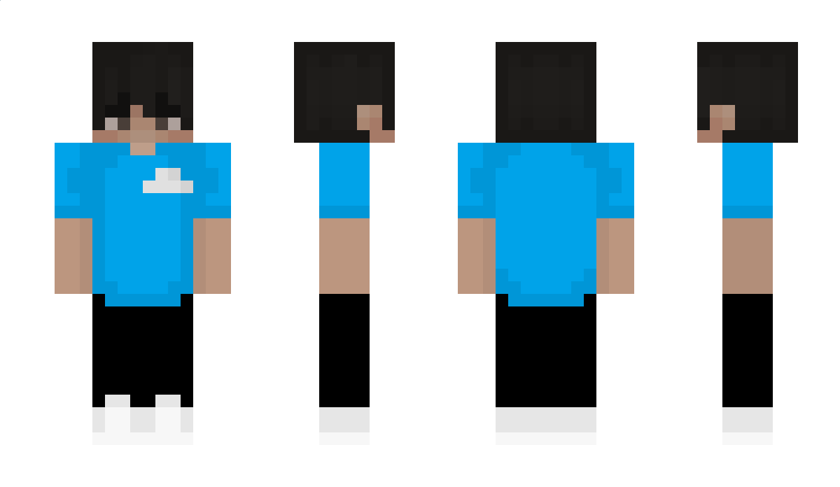 zwksd Minecraft Skin