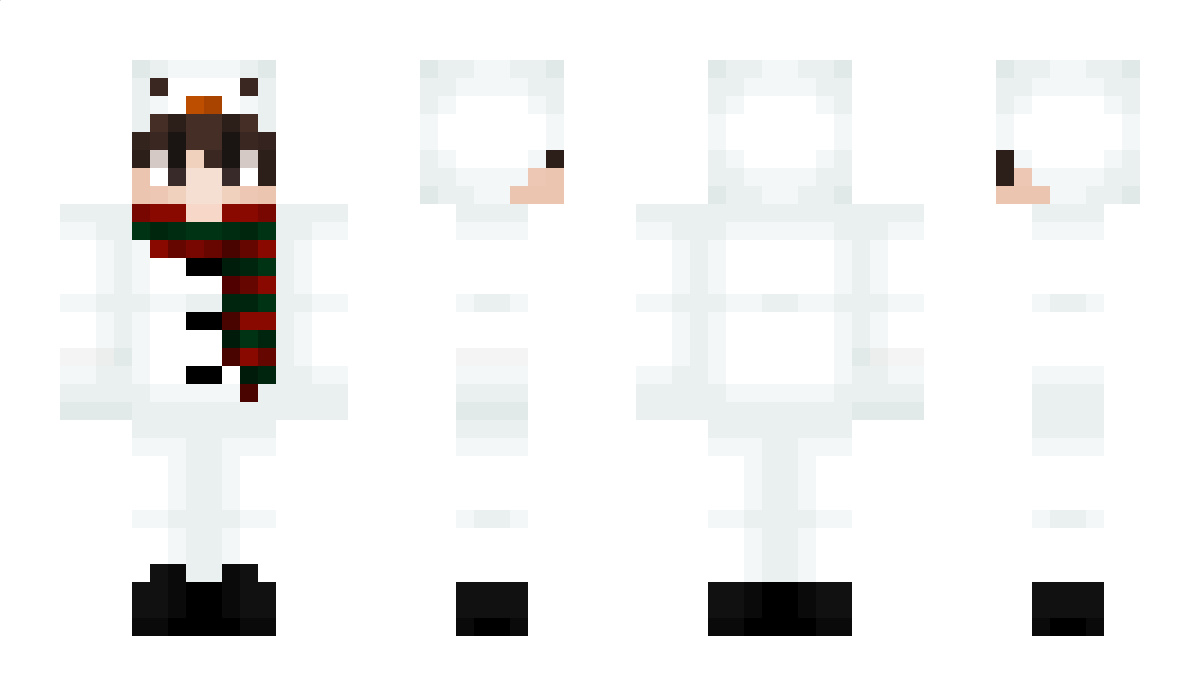 CurtCo Minecraft Skin