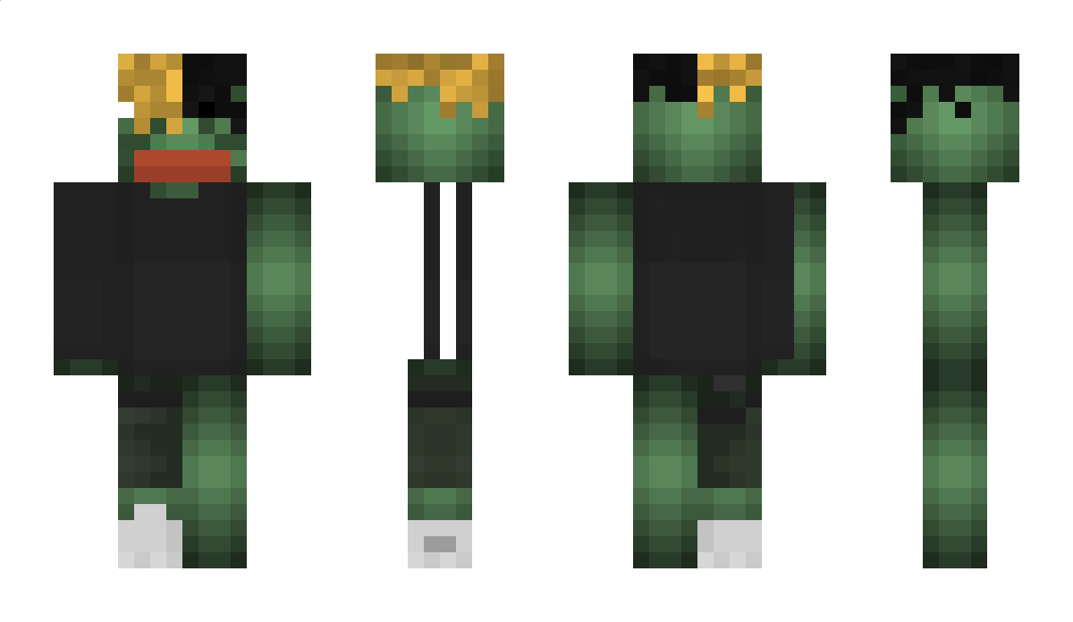 DCI Minecraft Skin