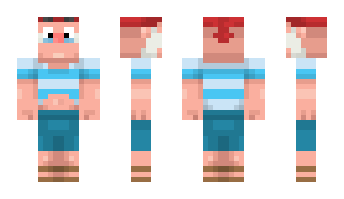 FatMC Minecraft Skin