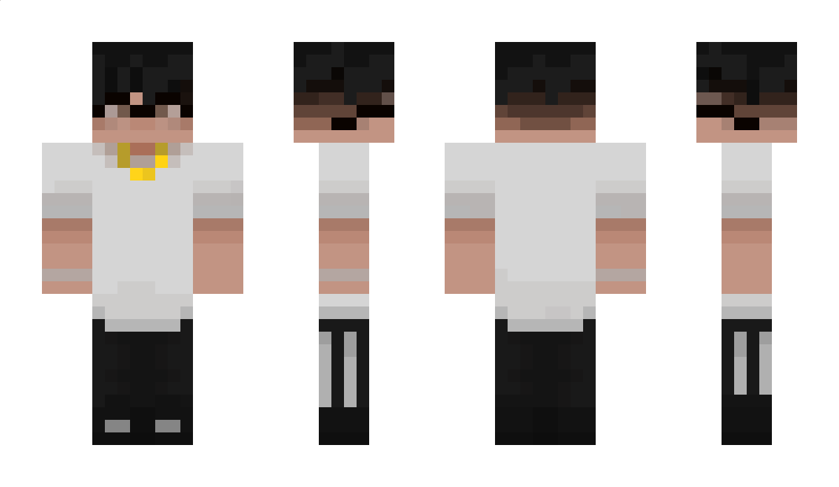 SerglnBW Minecraft Skin