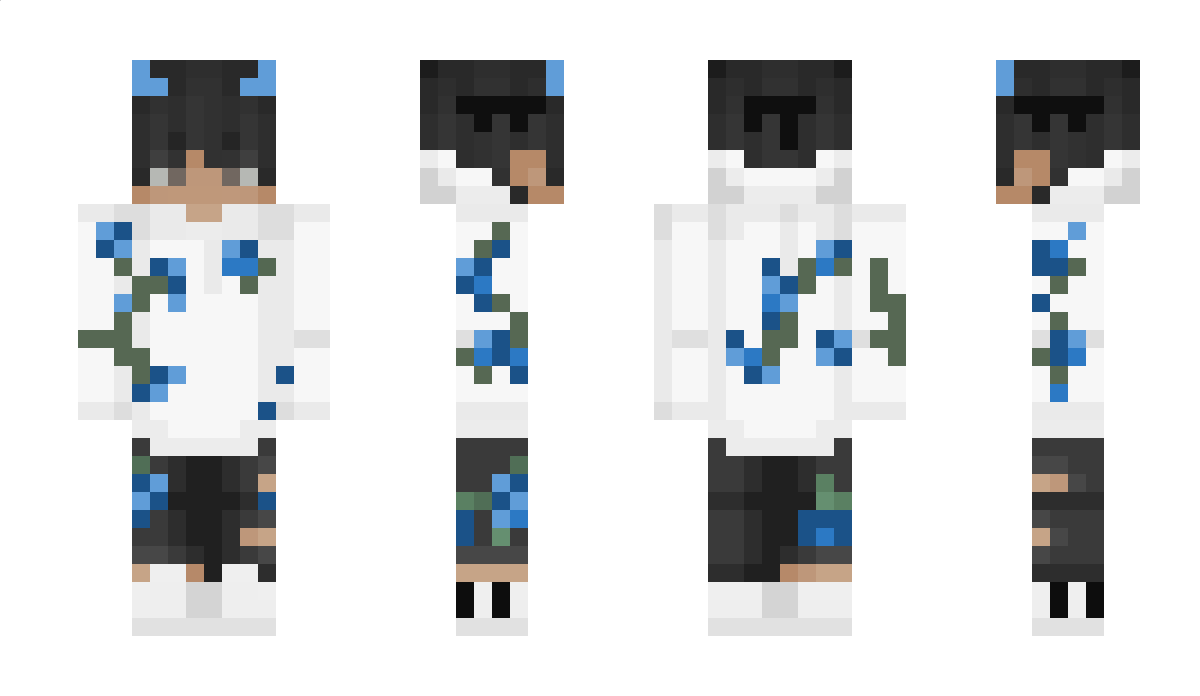 Plaly Minecraft Skin