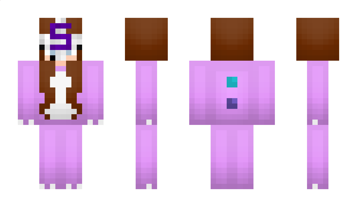 _no Minecraft Skin