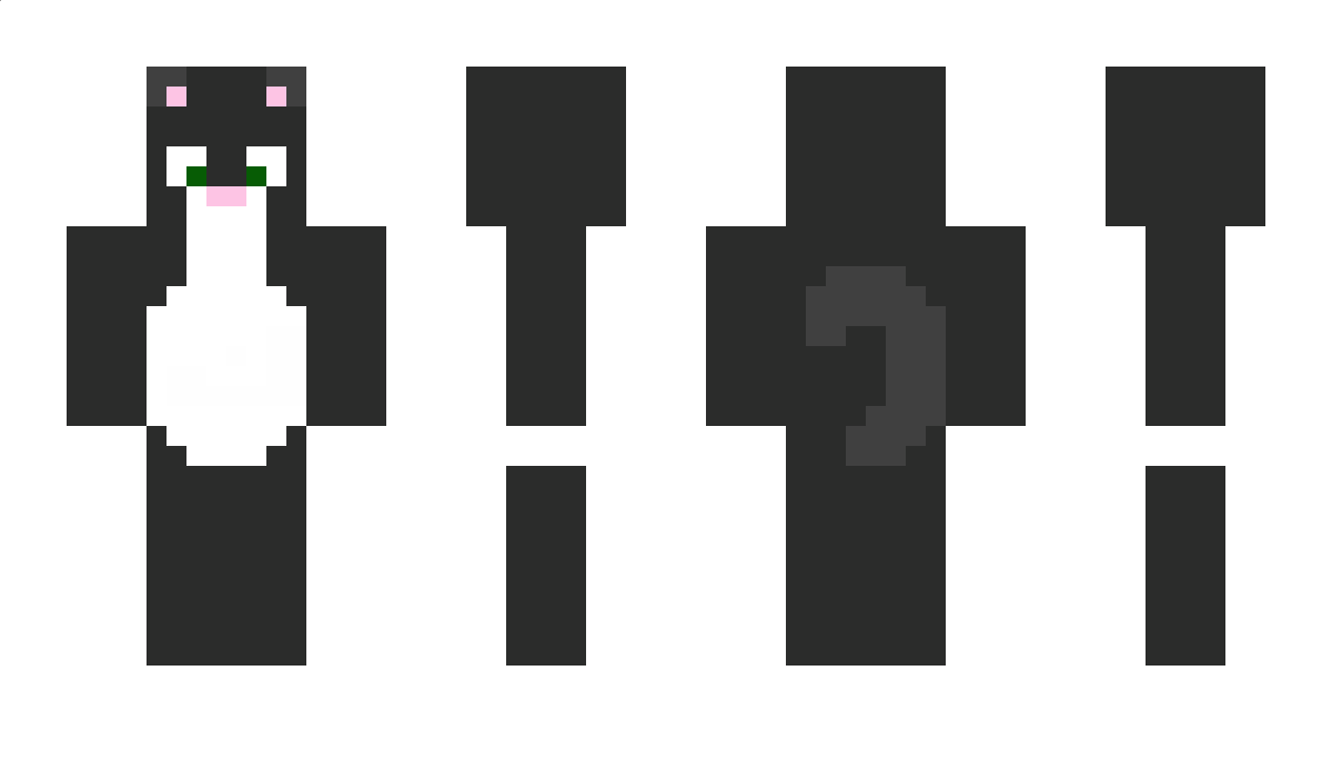 Devitt Minecraft Skin