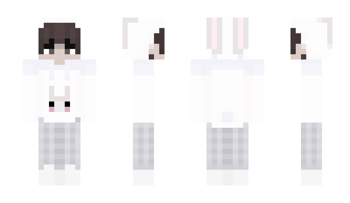 Insomnies Minecraft Skin