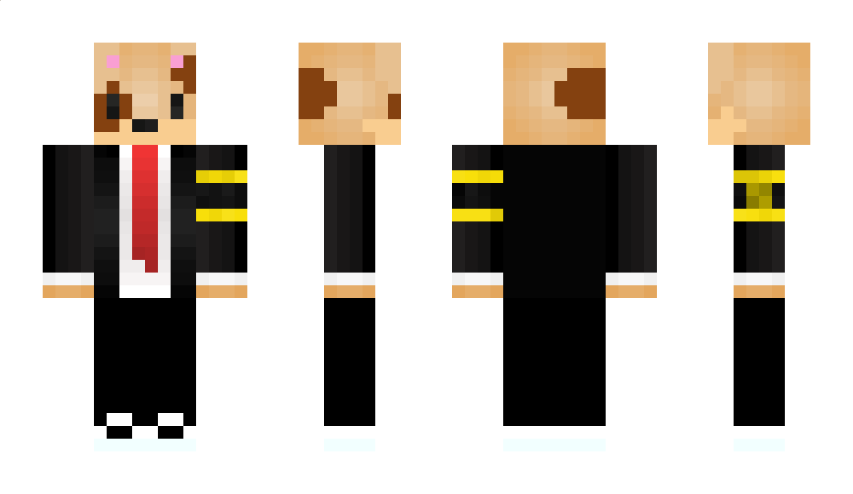 mariogandia Minecraft Skin