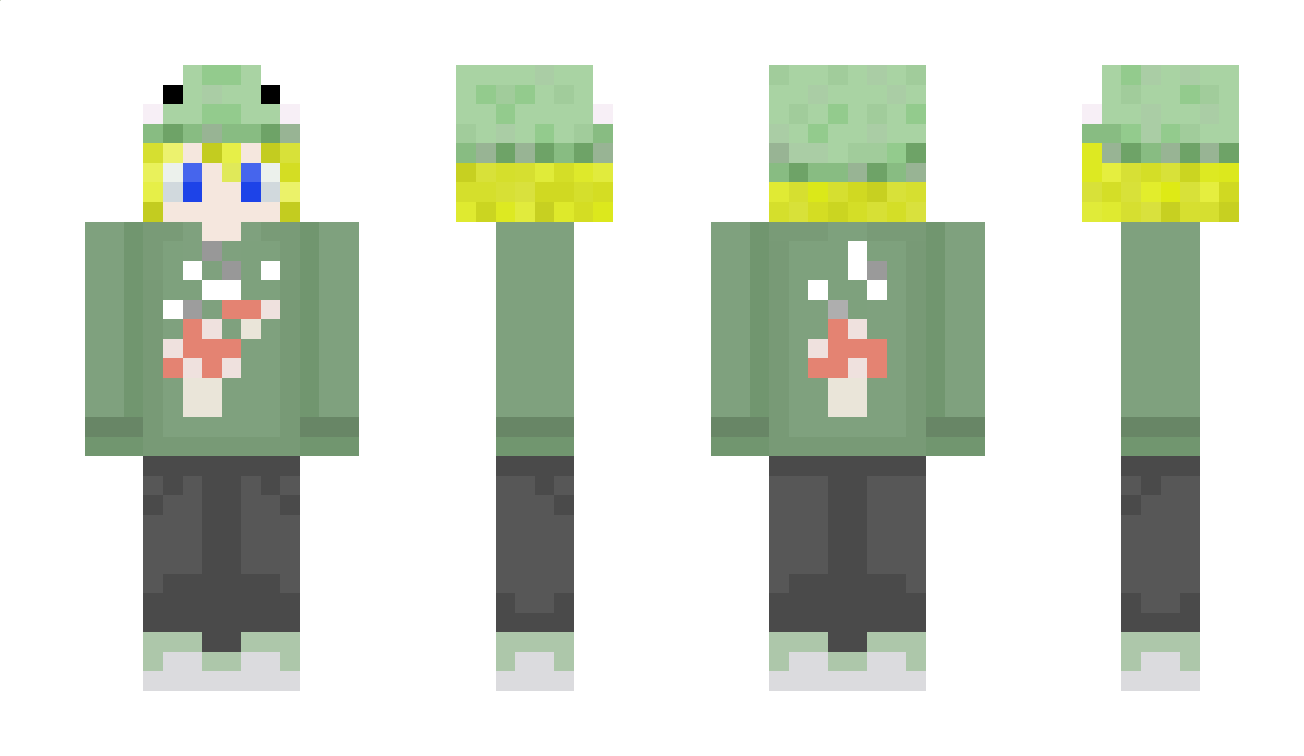 _HighFrog_ Minecraft Skin