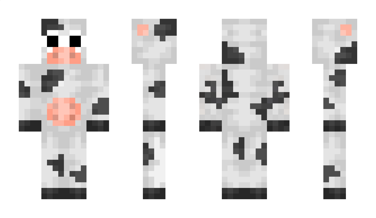 wisb Minecraft Skin