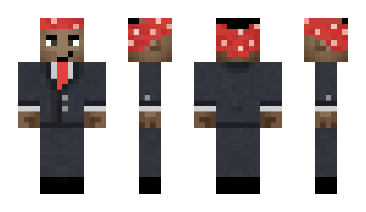 fr4nki Minecraft Skin