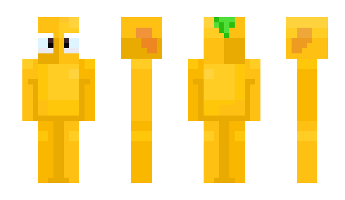 JortMort Minecraft Skin