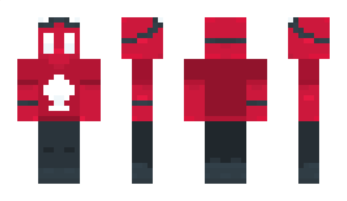 TheEnchanter24 Minecraft Skin