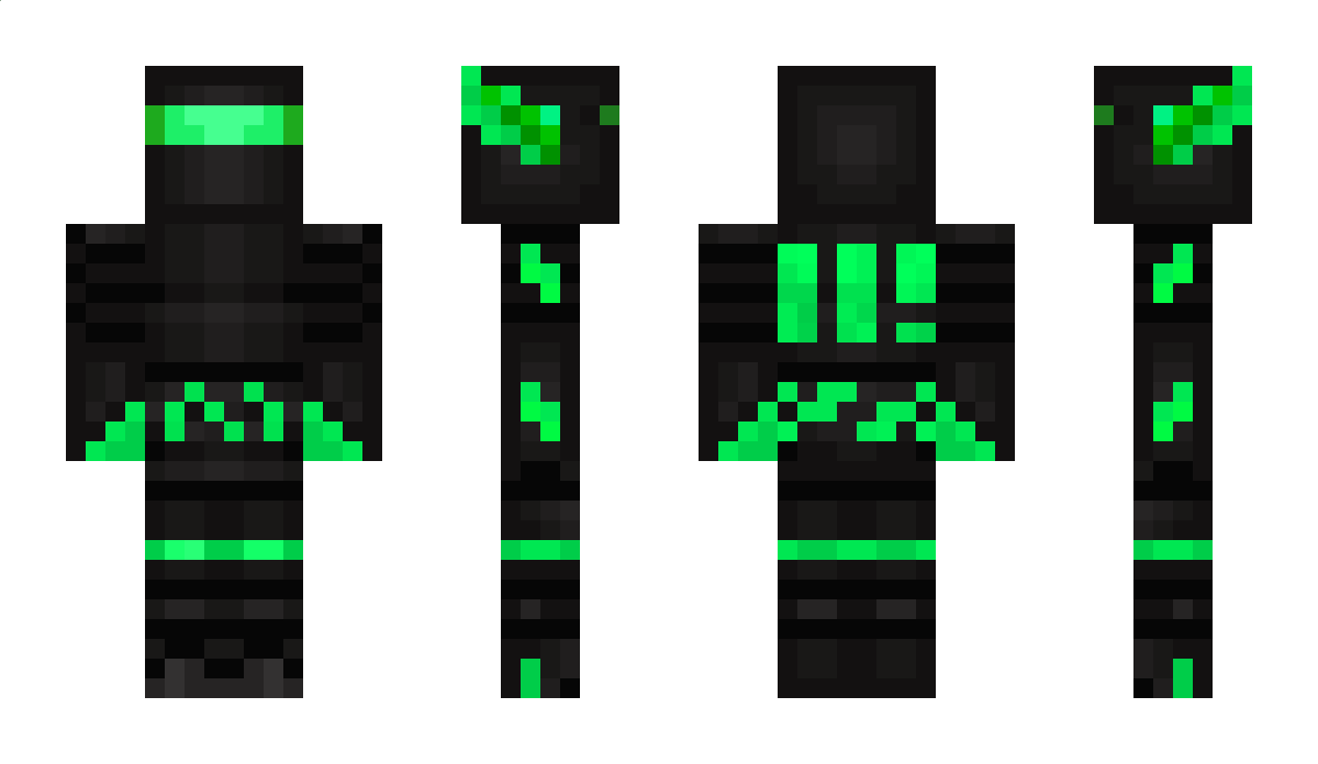 Aviss Minecraft Skin