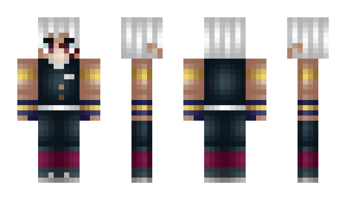 Dresseur Minecraft Skin