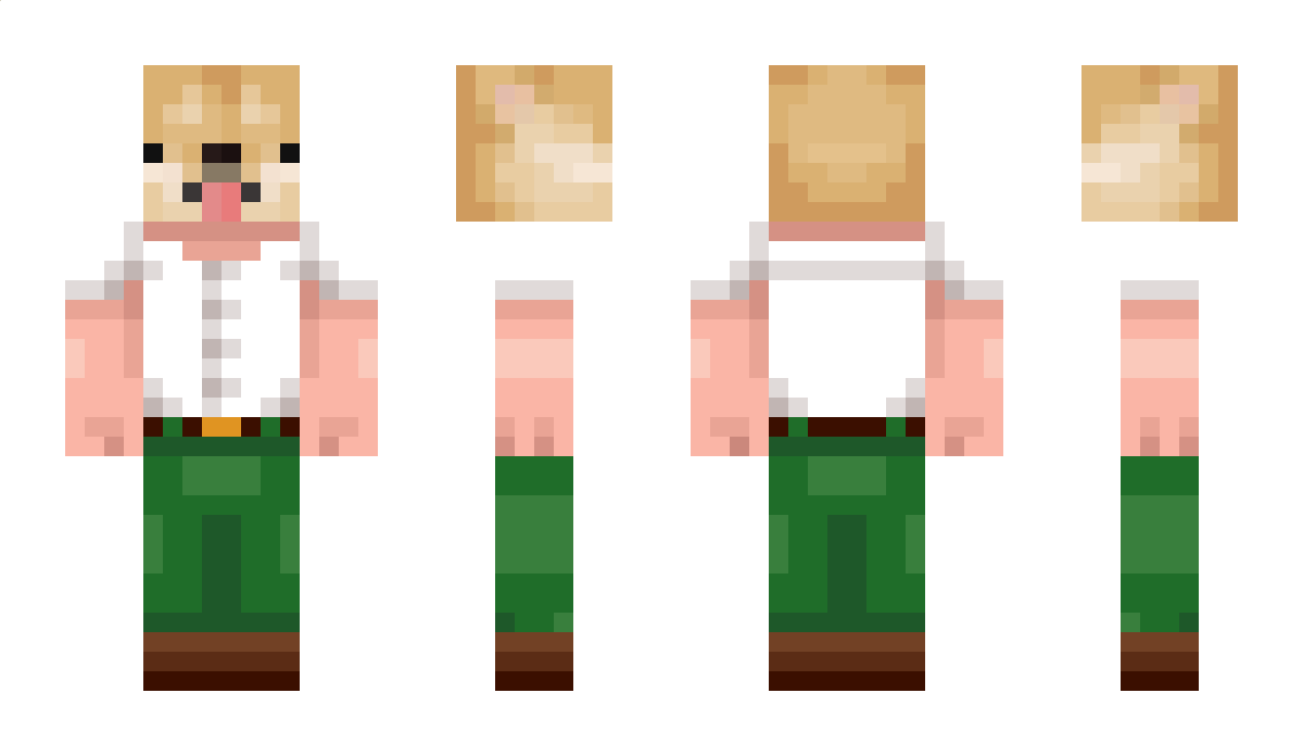 AWINNERONTOP Minecraft Skin