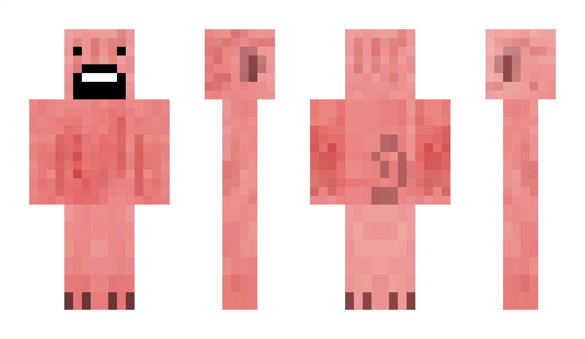 CHC Minecraft Skin